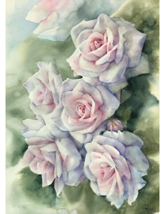 Tytuł: Róże kremowe, Autor: 