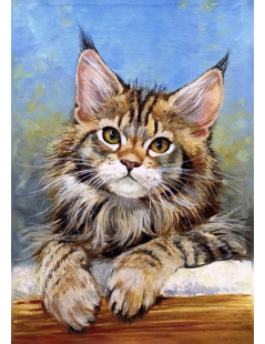 Tytuł: Main coon kot, dla dziecka, Autor: 