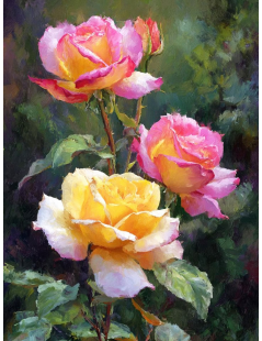 Tytuł: Róże herbaciane pomarańczowe i różowe, Autor: 